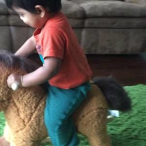 Meet your Posher, Janani